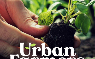 Programa de Inauguração do Urban Farmers